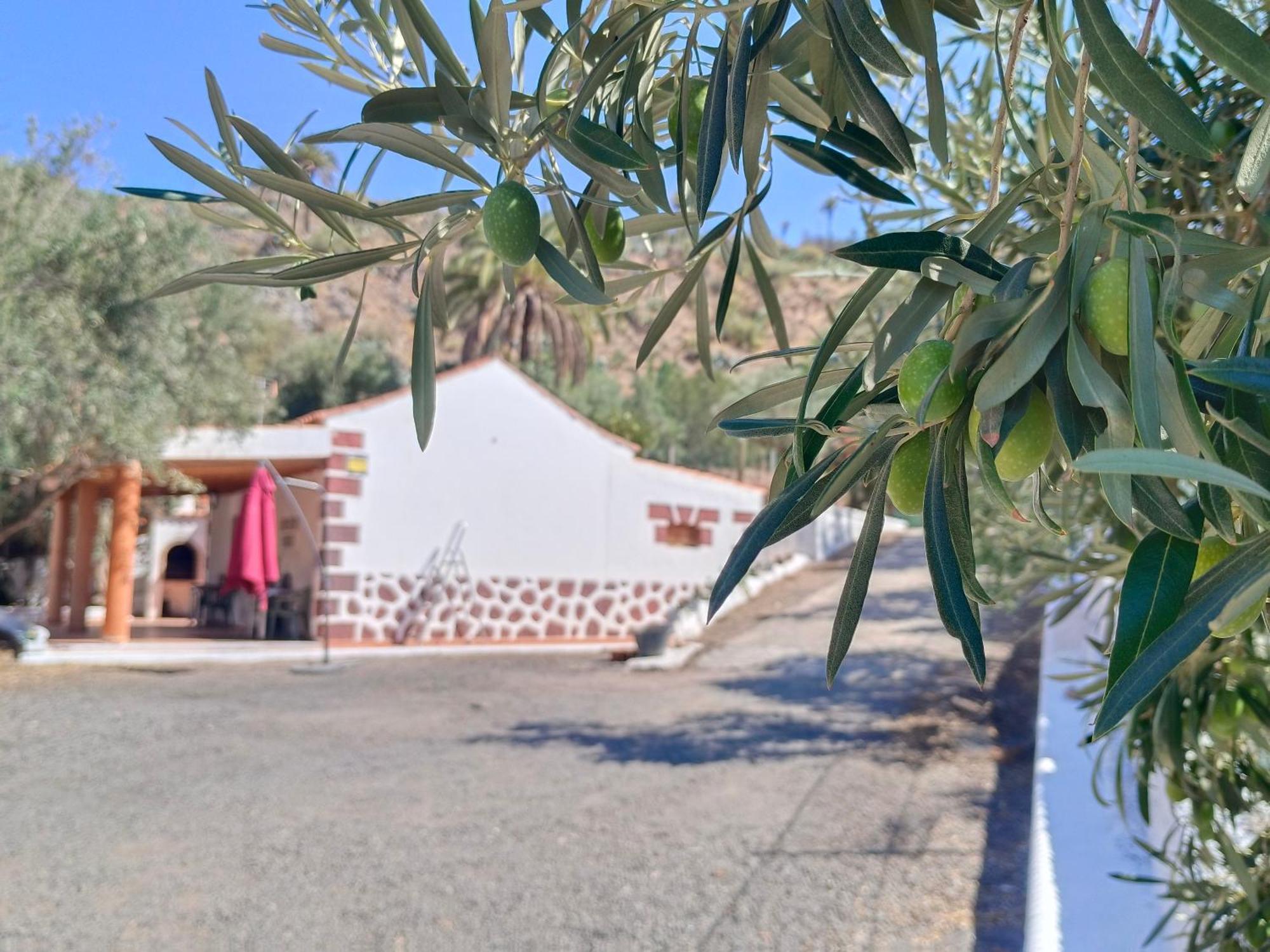 El Vergel Santa Lucia De Tirajana Exterior photo